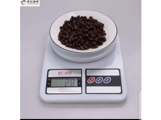 Electronic kitchen scale 