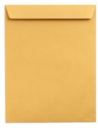 fullscap-15x10-brown-envelope-500pcs-big-0