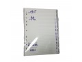 elfen-a4-1-31-tabs-pp-index-file-divider-small-0